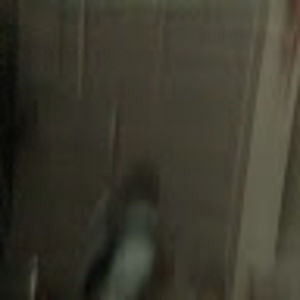 Meet your Posher, Cristobal